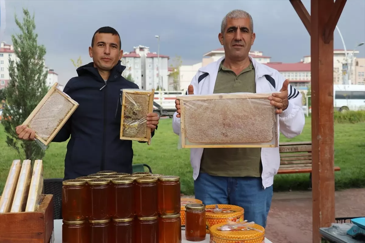 Ağrı’da Geleneksel Geven Balı Festivali Başladı