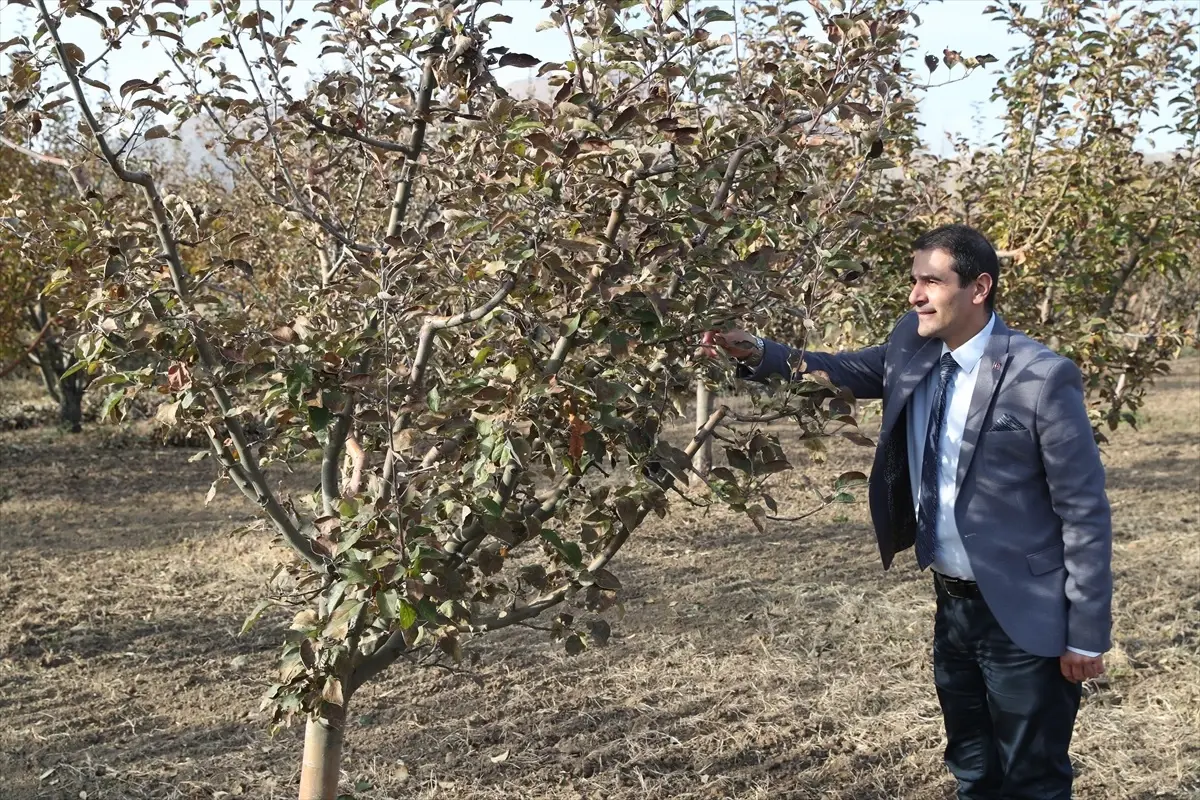 Doğu Anadolu ve Karadeniz Meyve Genetik Kaynakları Koruma Altında