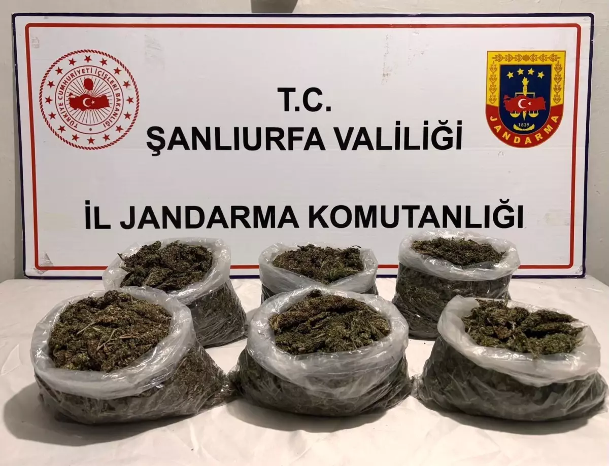 Şanlıurfa’da Uyuşturucu Operasyonu